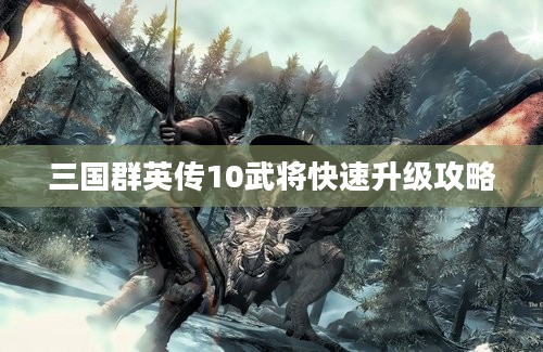 三国群英传10武将快速升级攻略