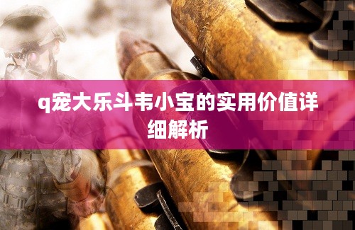 q宠大乐斗韦小宝的实用价值详细解析