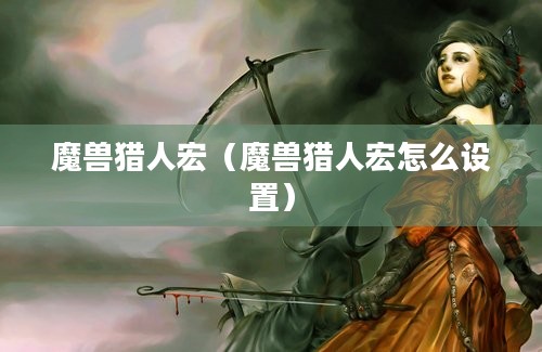 魔兽猎人宏（魔兽猎人宏怎么设置）