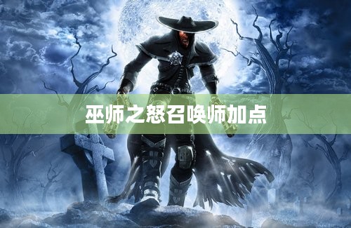 巫师之怒召唤师加点