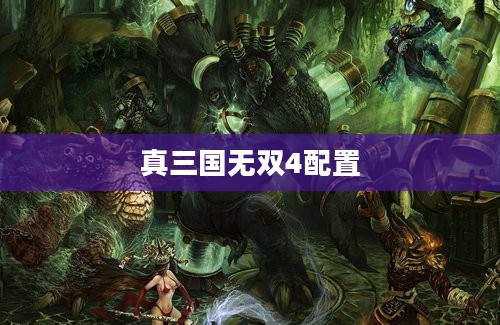 真三国无双4配置