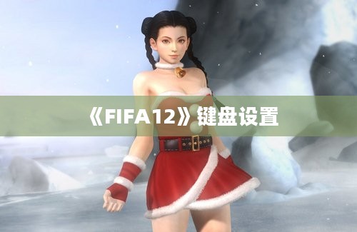 《FIFA12》键盘设置