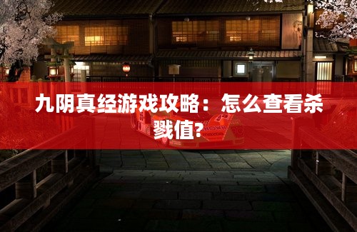 九阴真经游戏攻略：怎么查看杀戮值?