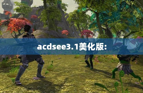 acdsee3.1美化版: