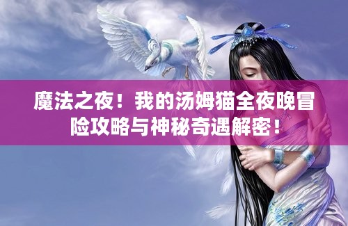 魔法之夜！我的汤姆猫全夜晚冒险攻略与神秘奇遇解密！